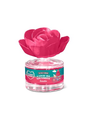 Ambientador Flor Sandia